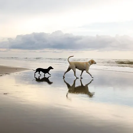 Meadowside Дом отдыха